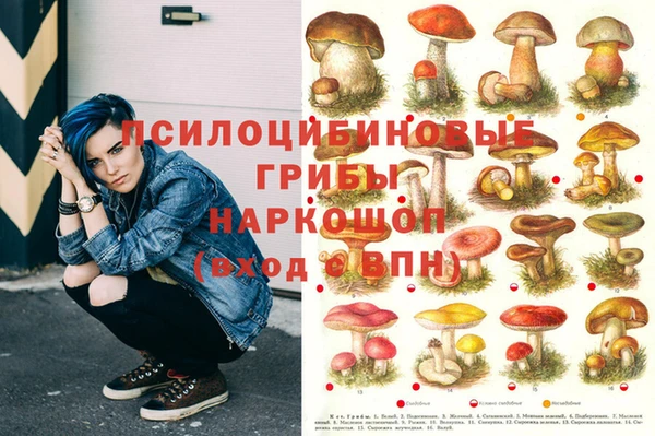 меф Алексин